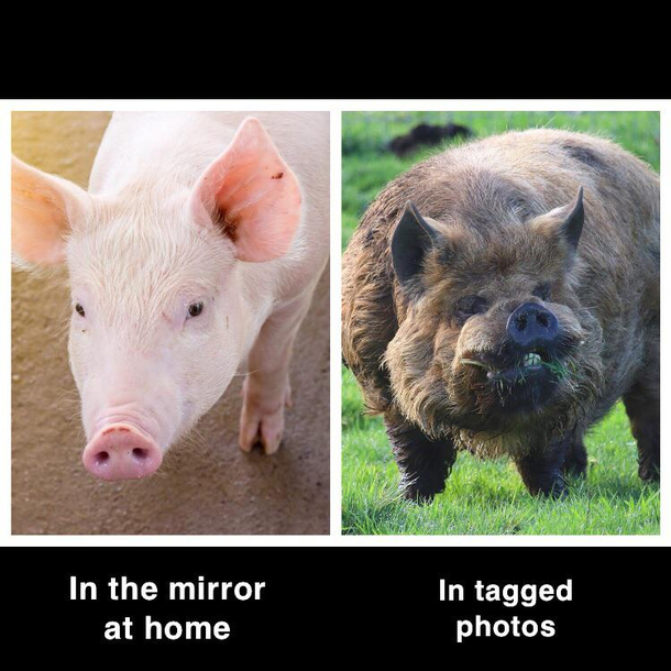 The sad truth