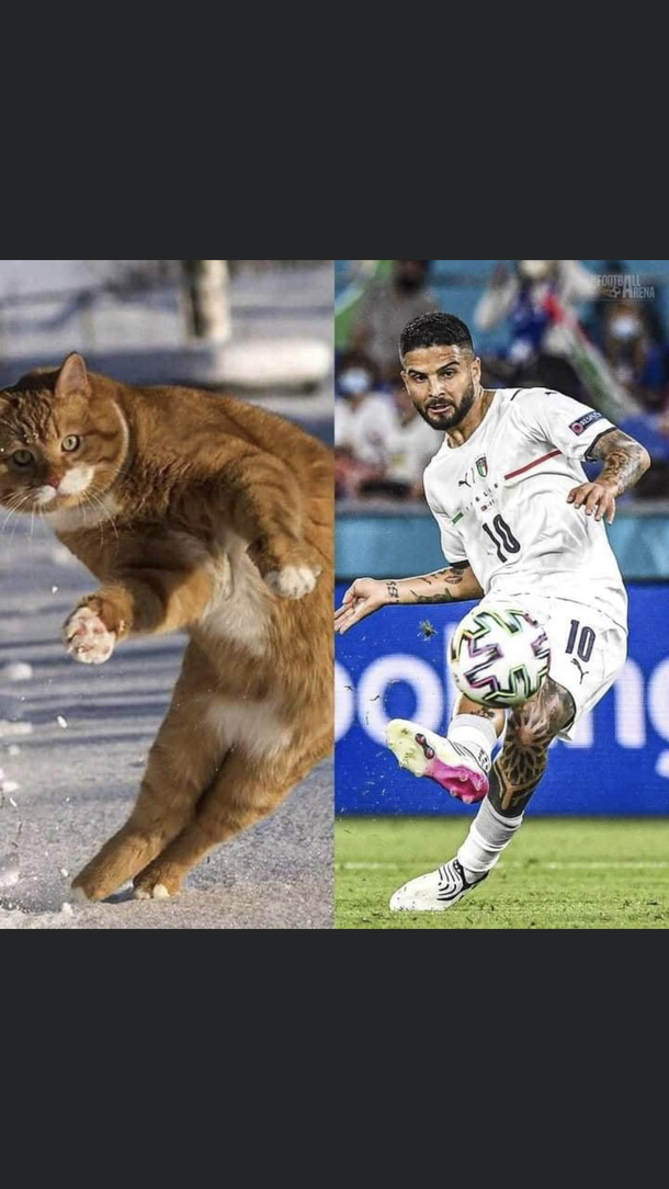 the same