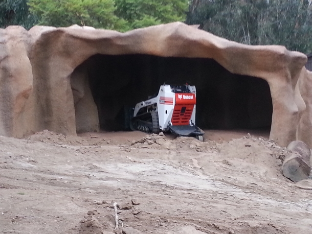 The San Diego Zoo has a pretty cool bobcat exhibit