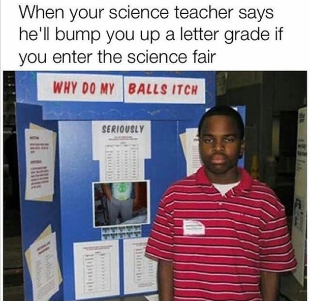 The Science Fair