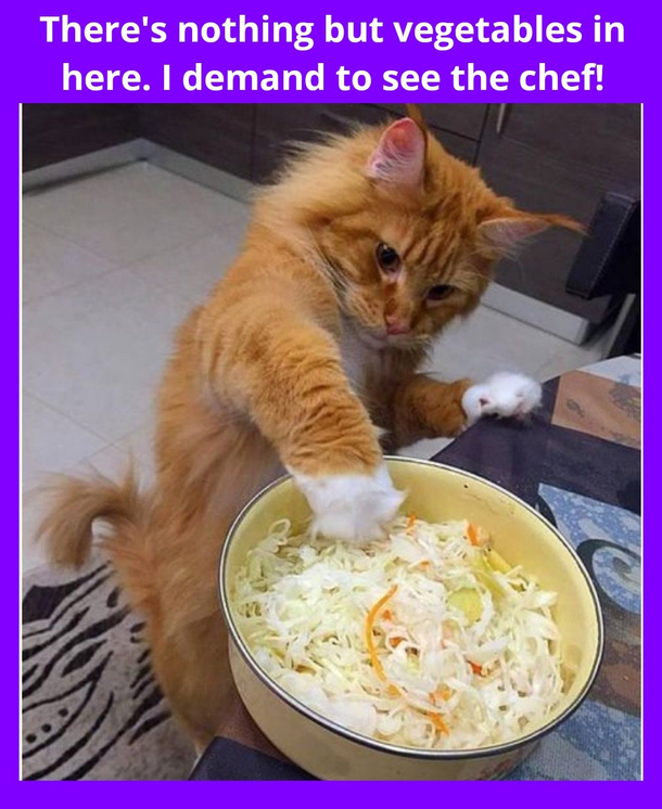 The service is unsatisfactory too no silverware