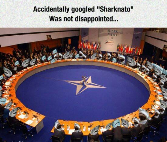 The Sharknato