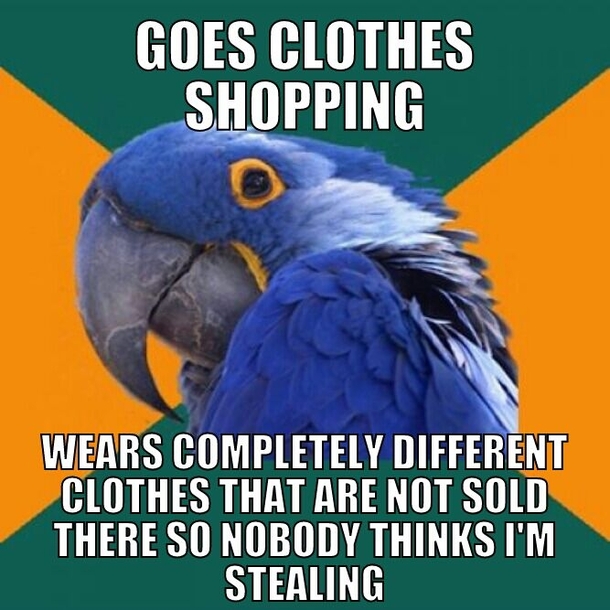 The Shirt Thief