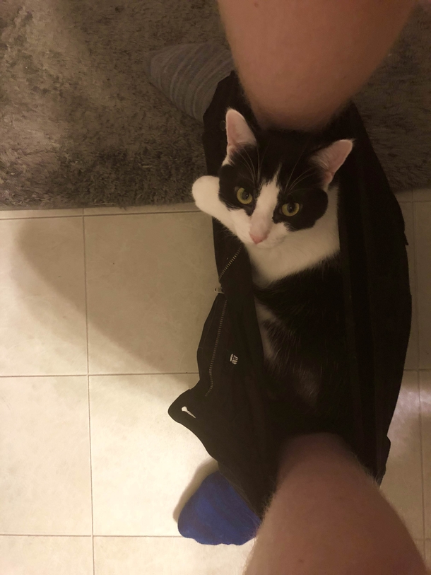 The shit I gotta put up with when I take my shits