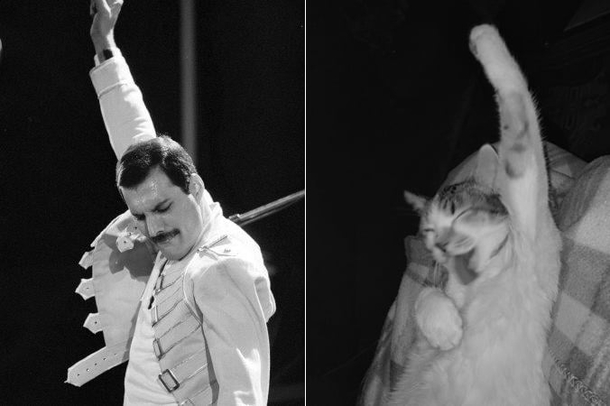 The similarities are uncatty