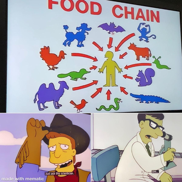 The Simpsons knew it too