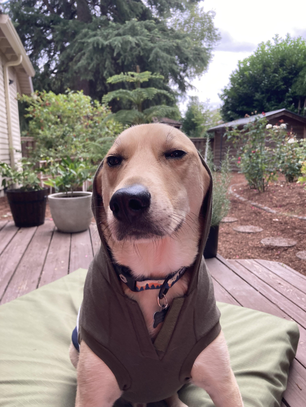 The Skeptical Glare