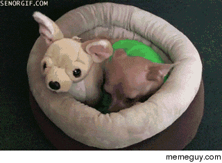 The Sneaky Chomp