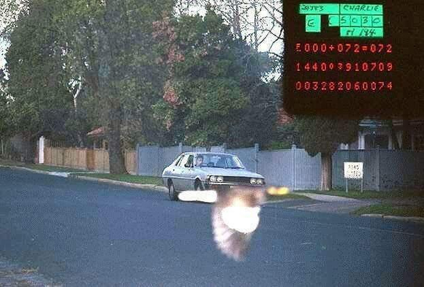 The speeding camera caught the car speeding but this bird saved it