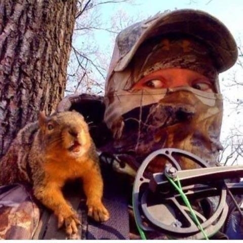 The squirrels are getting a little more brave