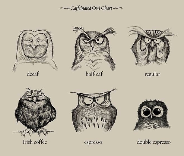 The students s guide to coffee