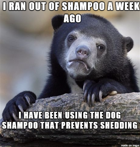 The stylist complimented me on my hair