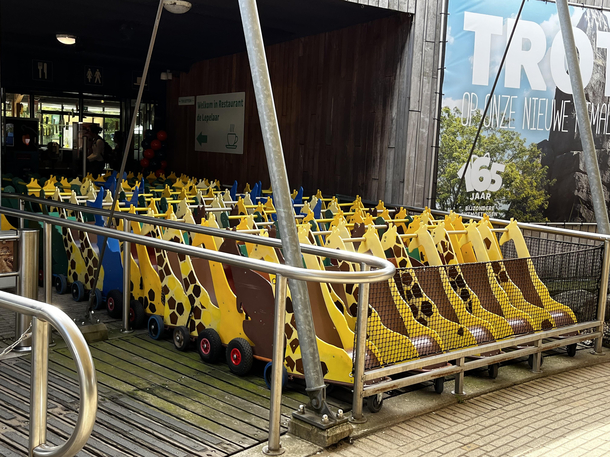 The sure sign you are going to have fun at the zoo
