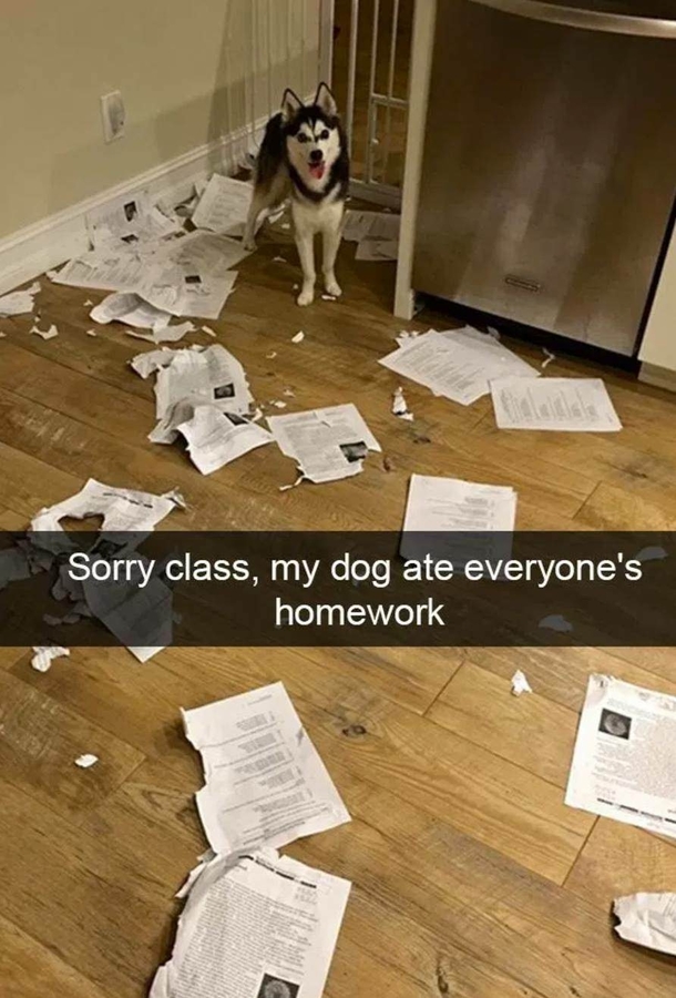 The tables have turned