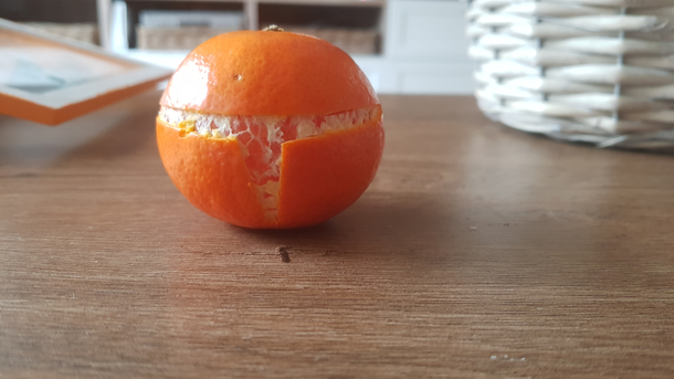 The Tangerlorian