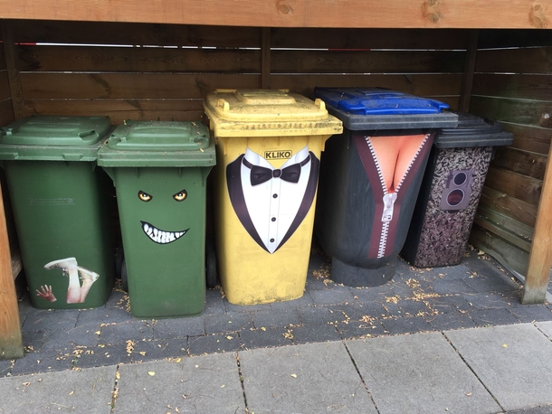 The trash bins in my neighborhood are naughty