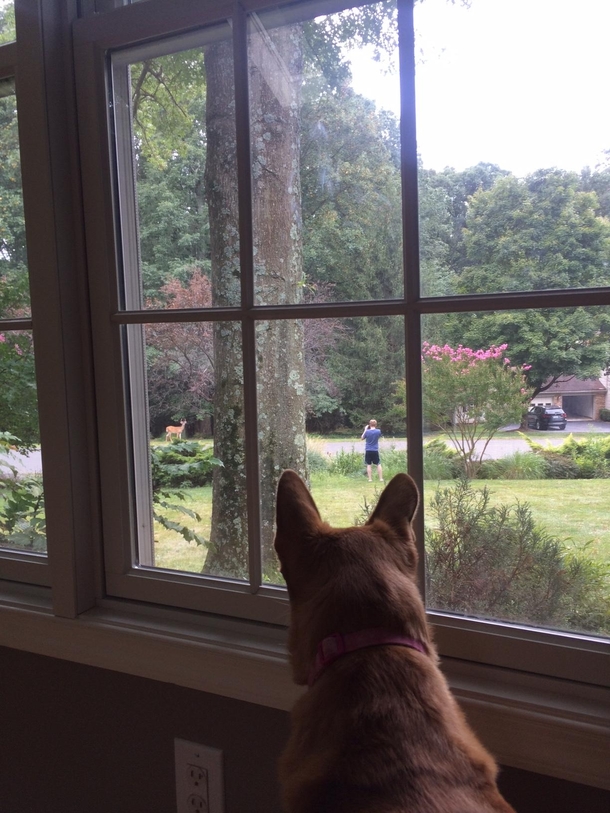 The Triple Creep My wife creeping on my dog while my dog is creeping on me while I am creeping on the buck across the street