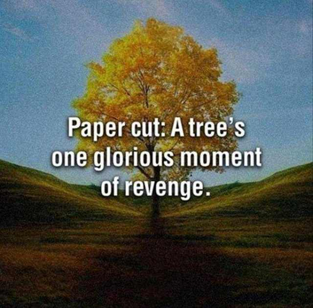 The truth