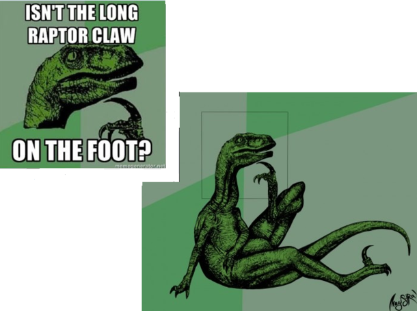 The truth about philosoraptor