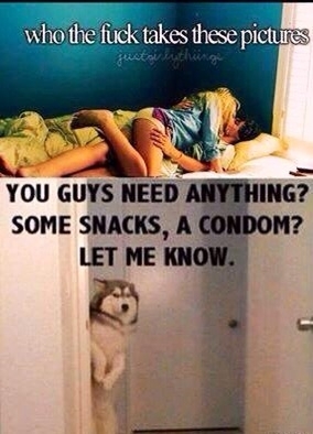 The truth behind the justgirlythings pictures