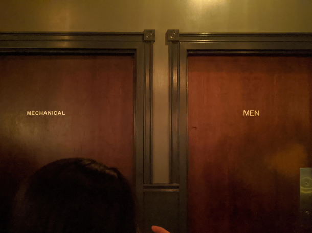 The two genders