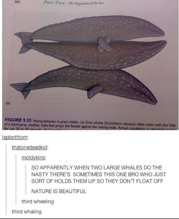 The ultimate act of friendship