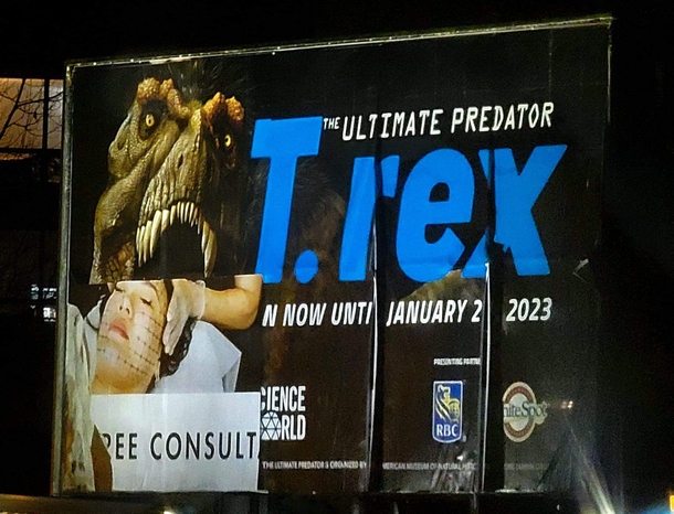 The ultimate consultant