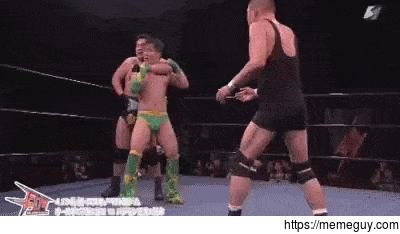 The ultimate wrestling move