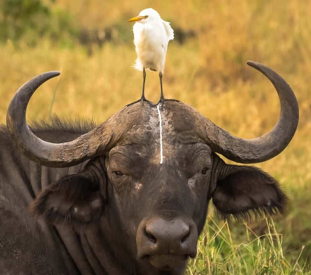 The Universal Look of Well this Sucks