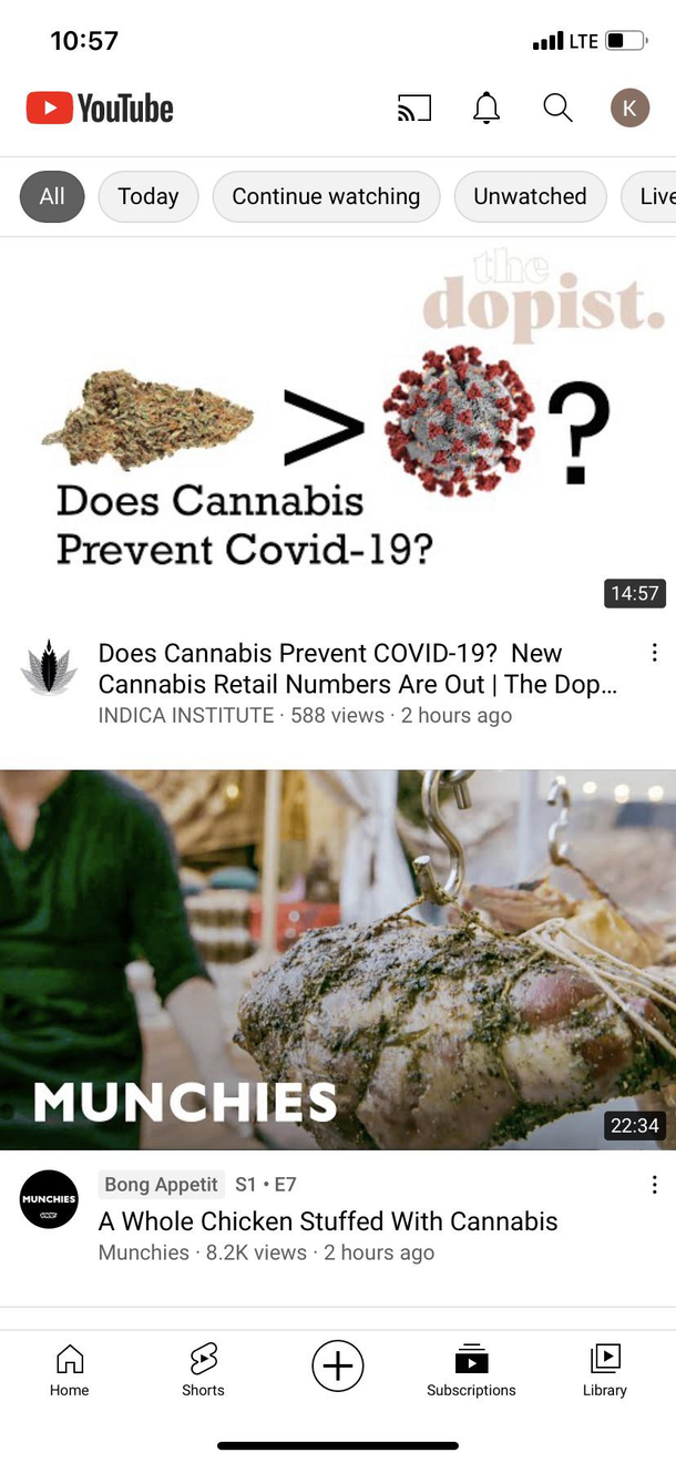 The way my YouTube subscriptions lined up