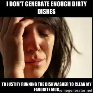 The whole hand washing thing is pointless if you have a dishwasher too