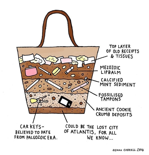 The Womens Handbag