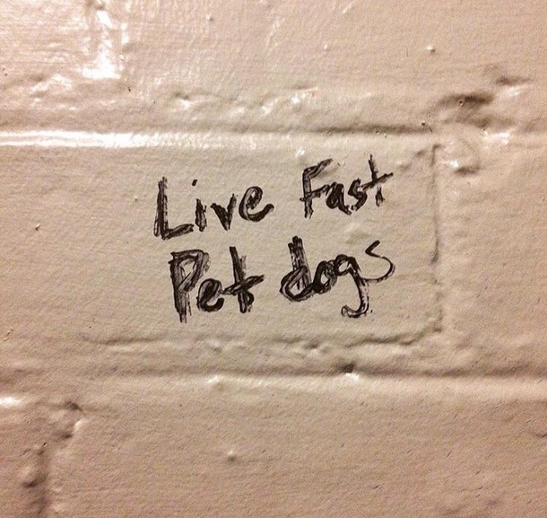 The writing on the bathroom wall