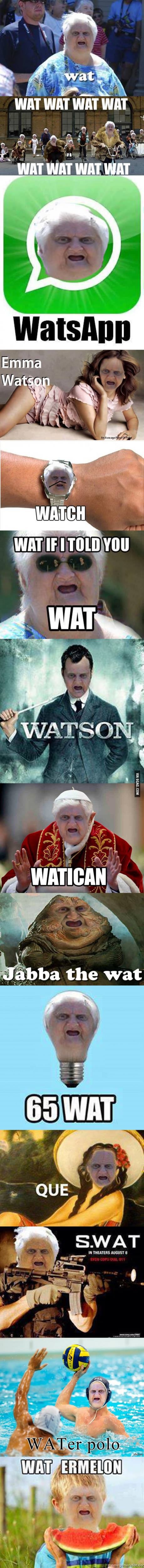 The Year of Wat