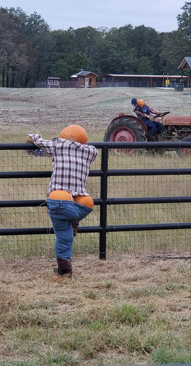 them gourds be thicc