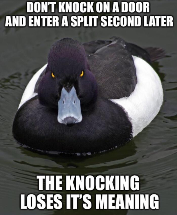 Then just dont knock