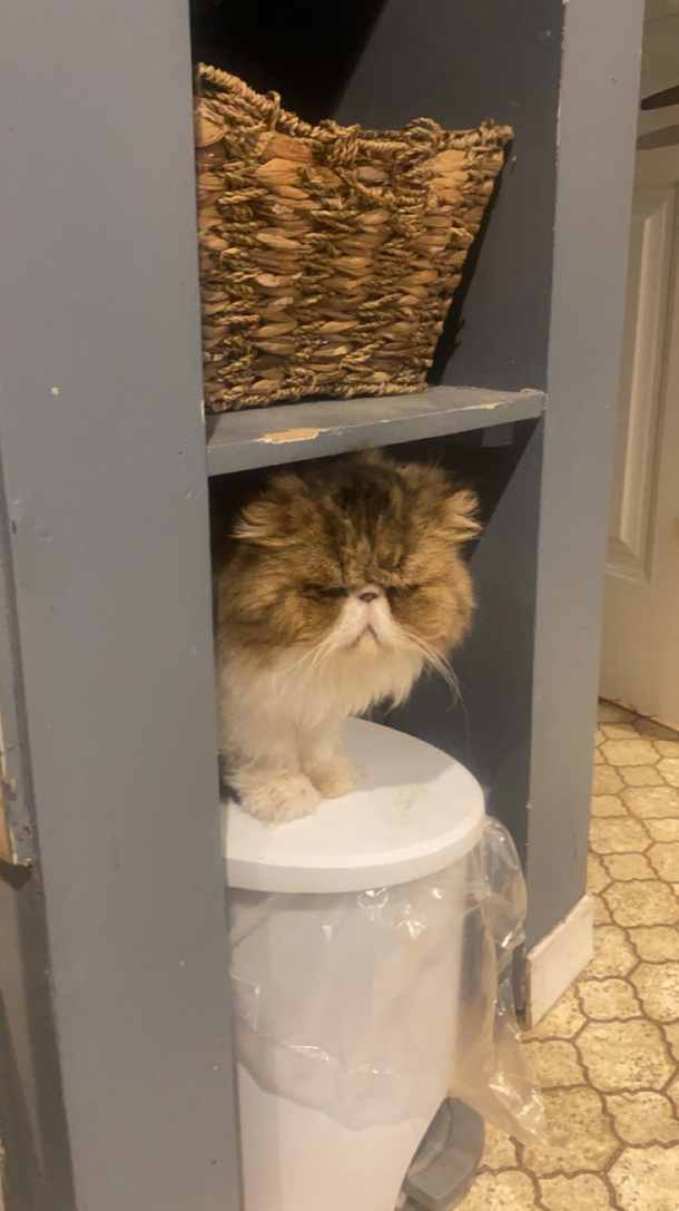 Theo doing his best Oscar the grouch impersonation