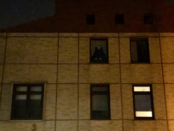There is an evil beast at my neighbors window
