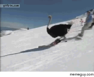 There is no title good enough for this