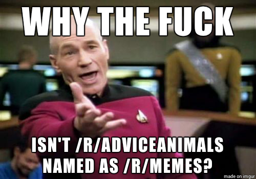 There is only one animal that gives advice