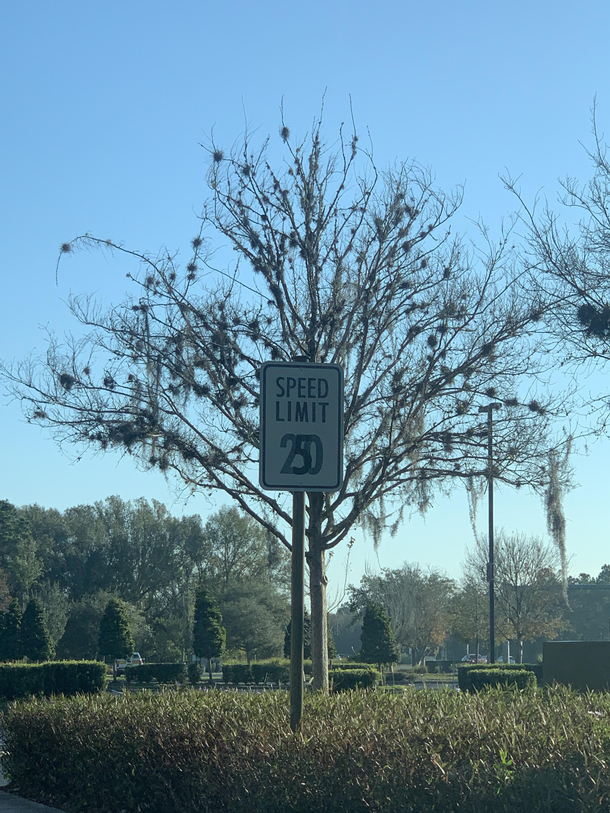There that should slow them down