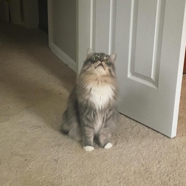 There was a bug on the ceiling