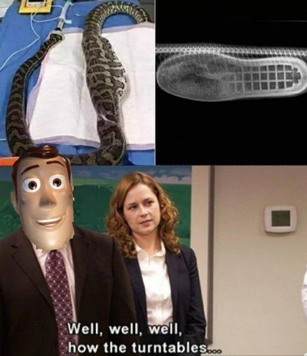 Theres a boot in my snake