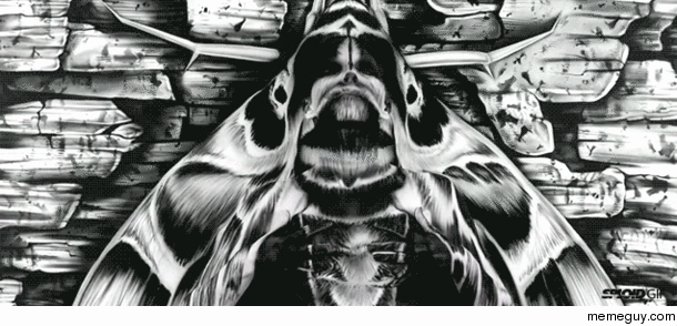 Theres a woman hidden in this painting of a moth