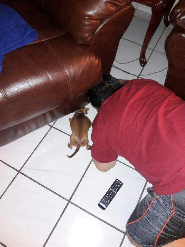 Theres an MampM under the couch