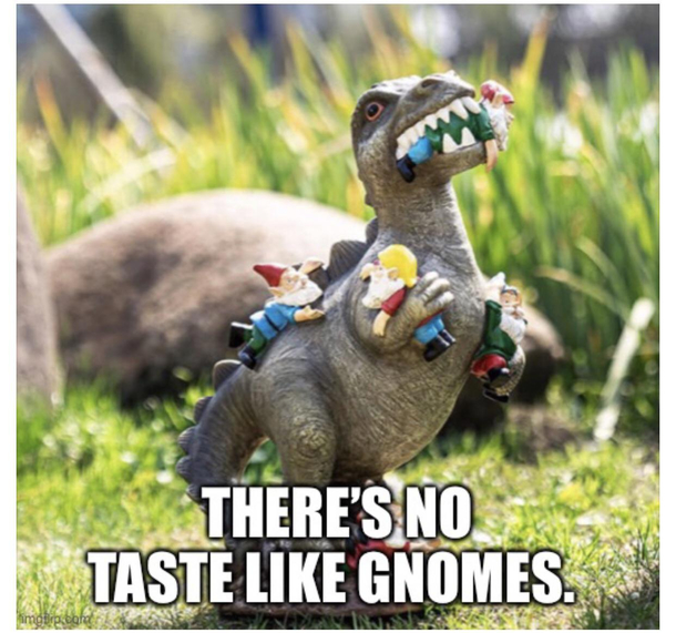 Theres no taste like gnomes