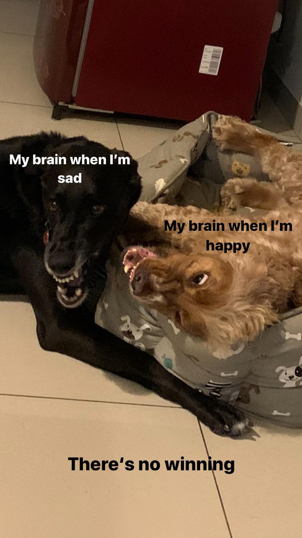 Theres no winning