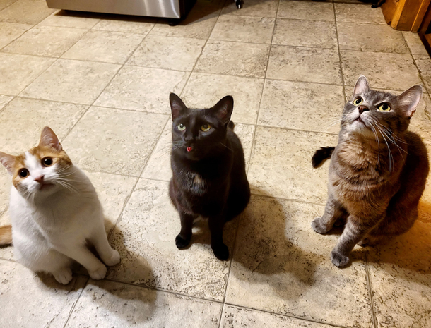 Theres one in every family