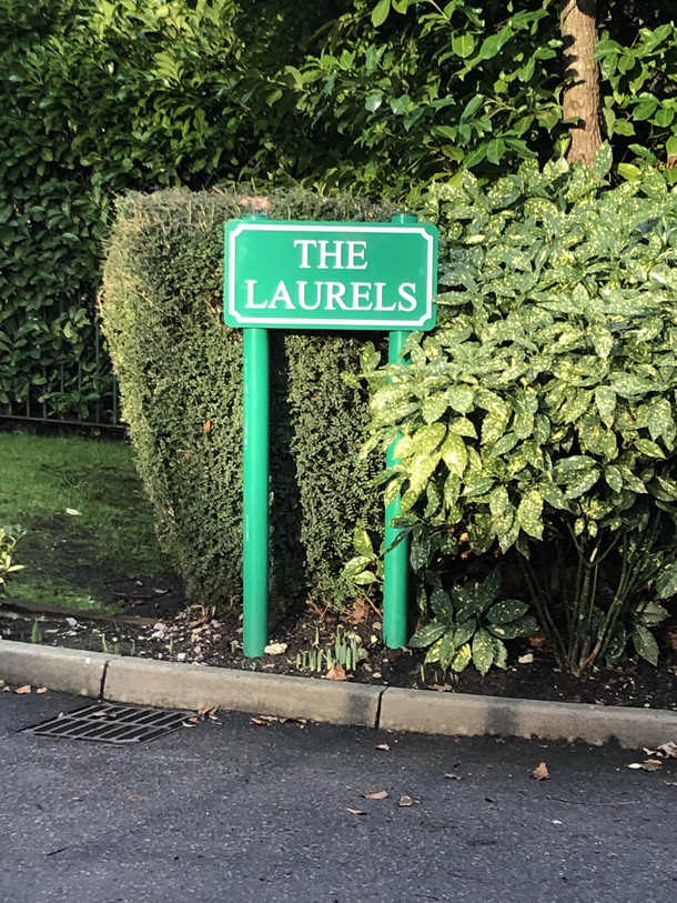 Theres this road in my neighbourhood called The Yannys What a stupid name