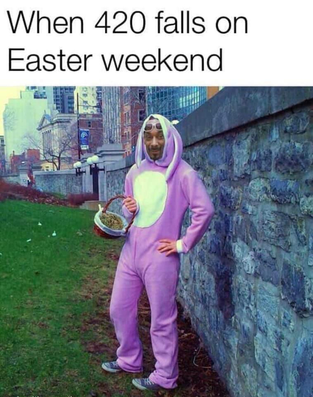 These eggs are fo rizzle